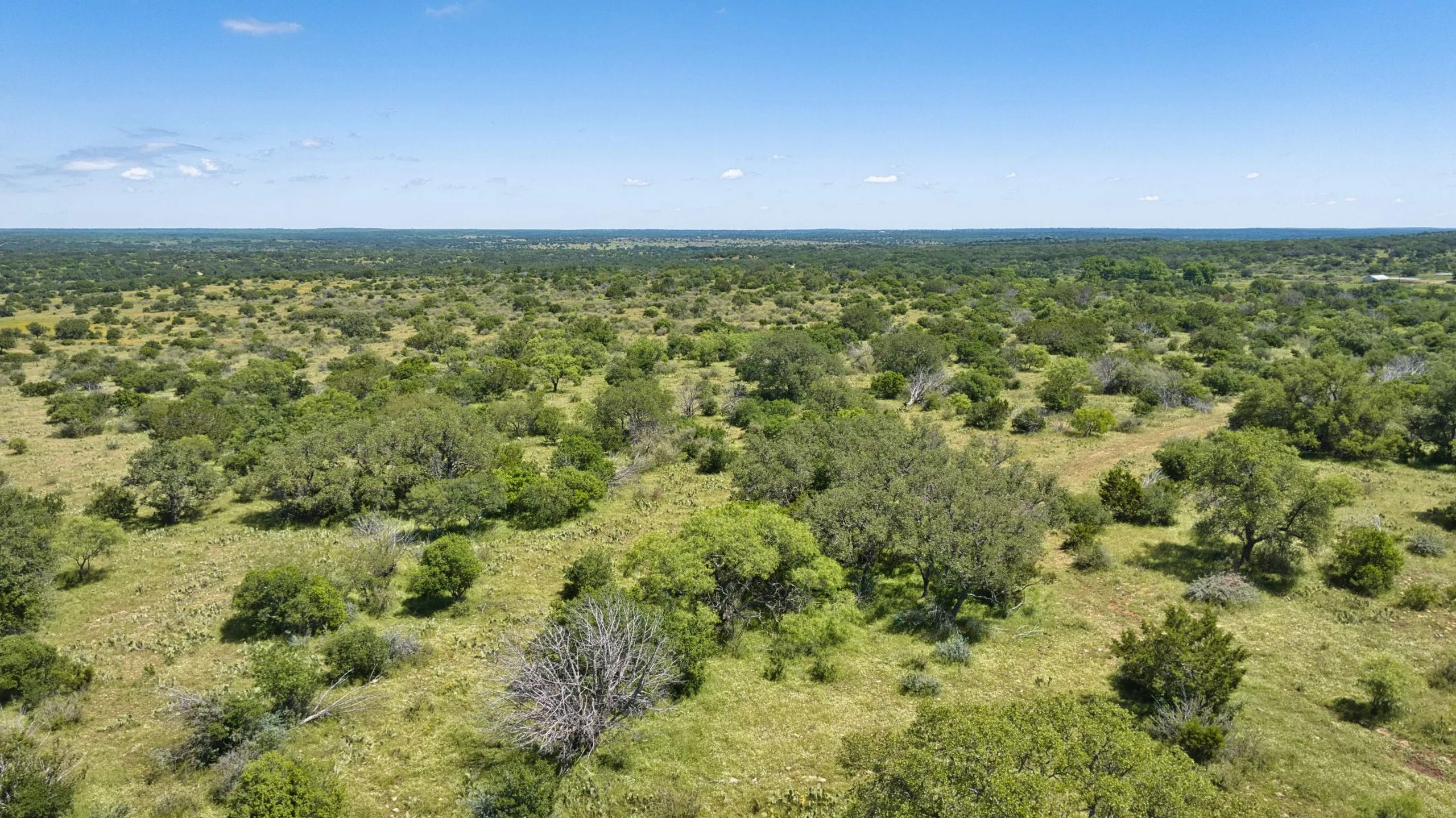 HIGH MESA RANCH