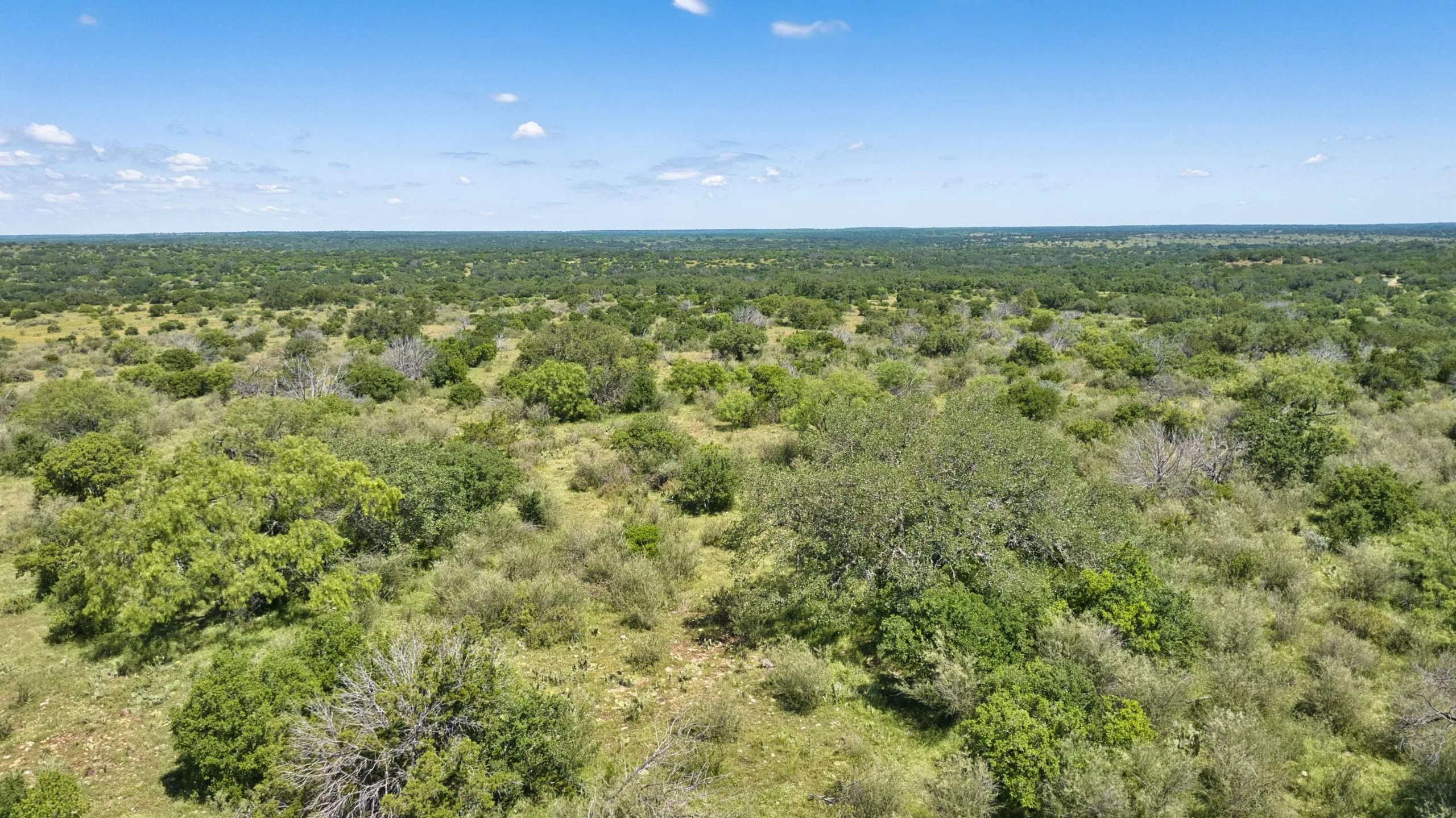 HIGH MESA RANCH