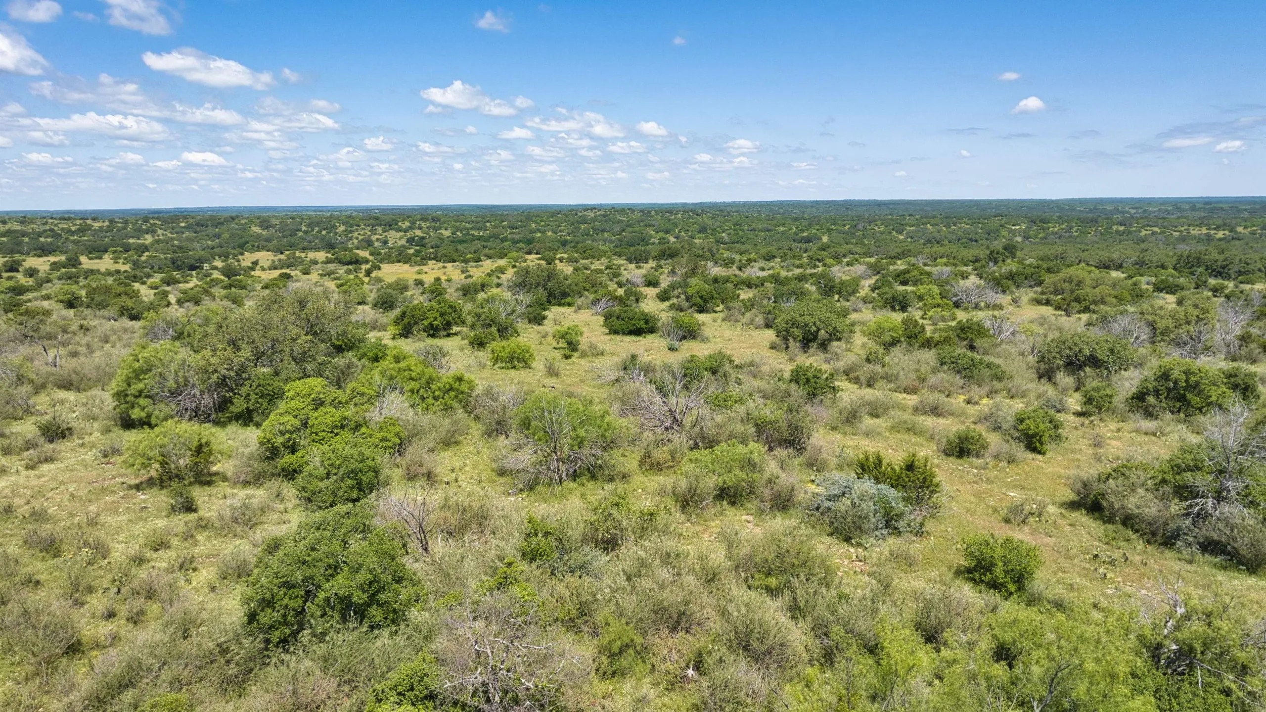 HIGH MESA RANCH