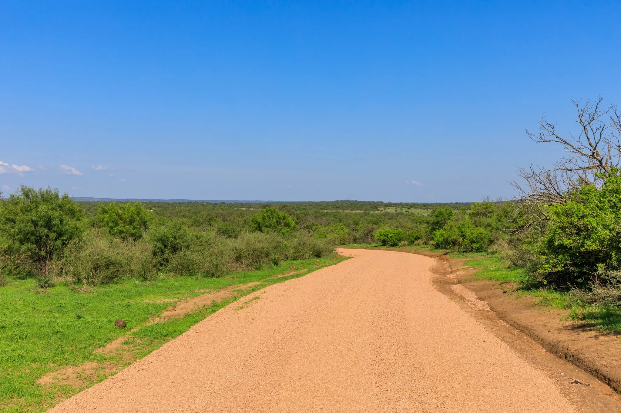 LOT 5 ART HEDWIGS HILL RD