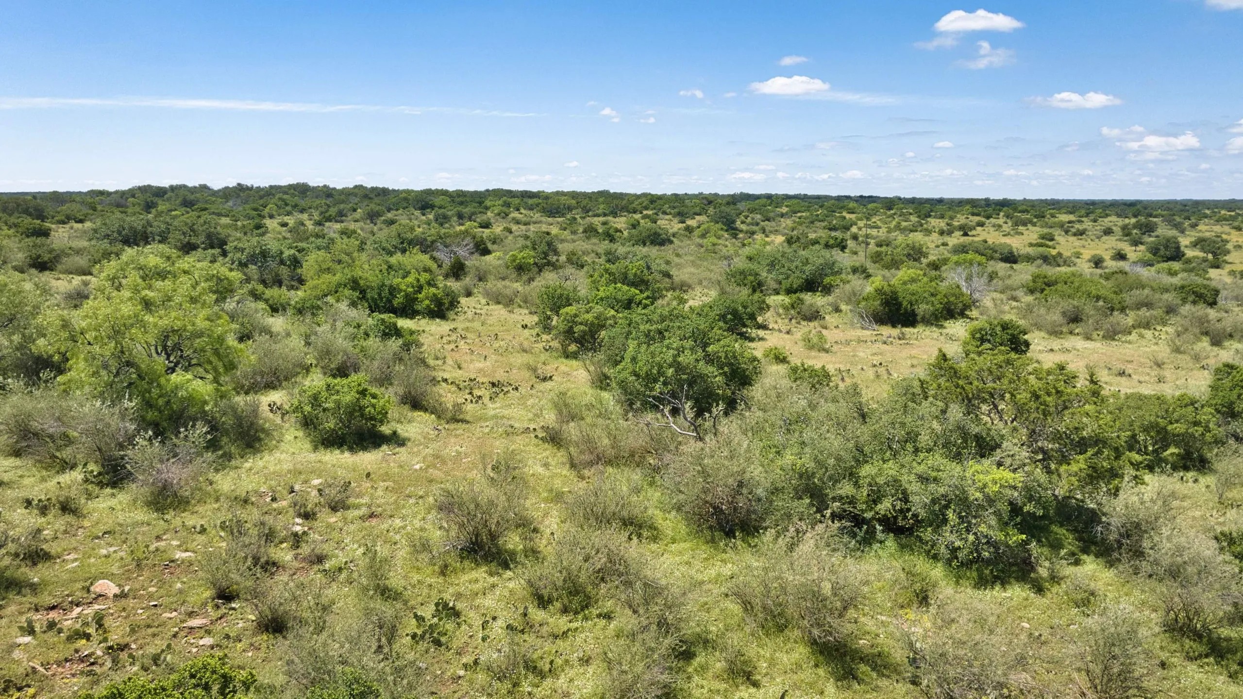 HIGH MESA RANCH
