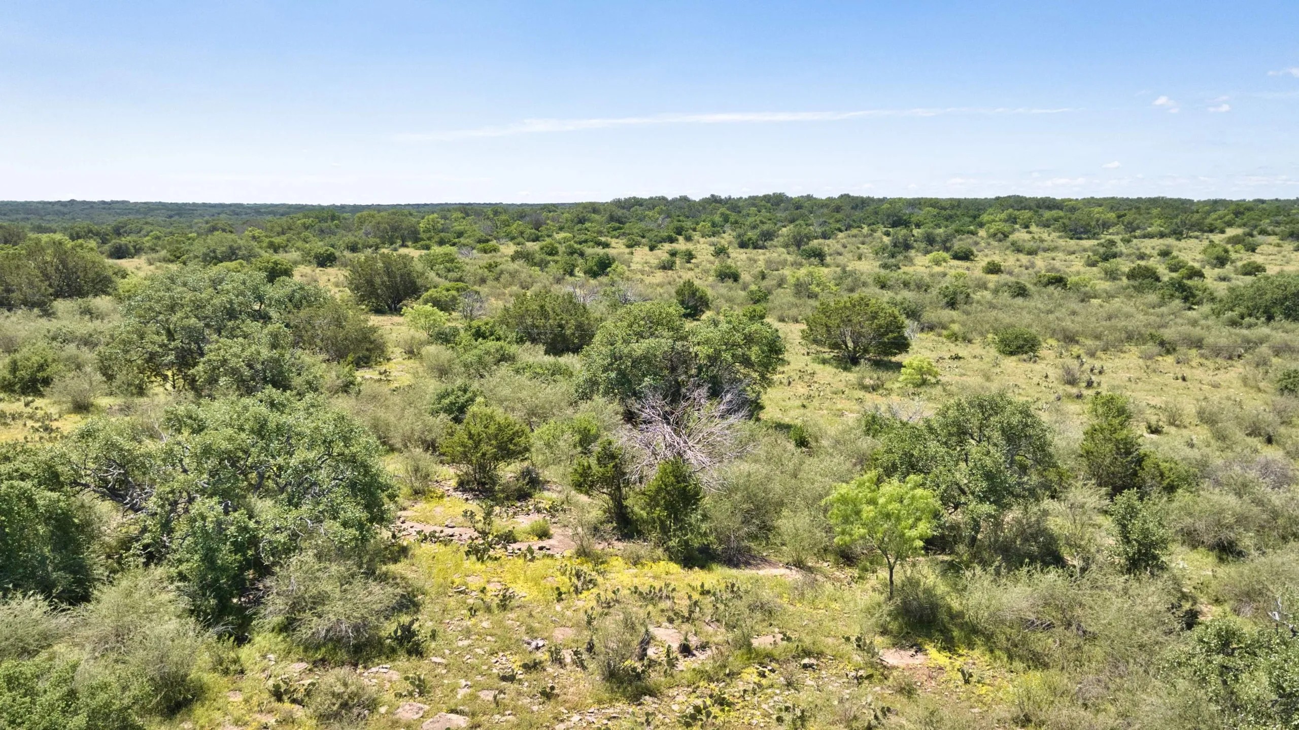 HIGH MESA RANCH