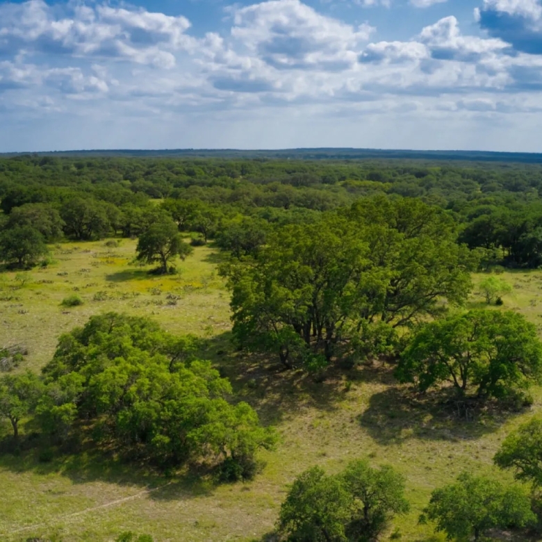 THE RANCH at Sandy Lane
