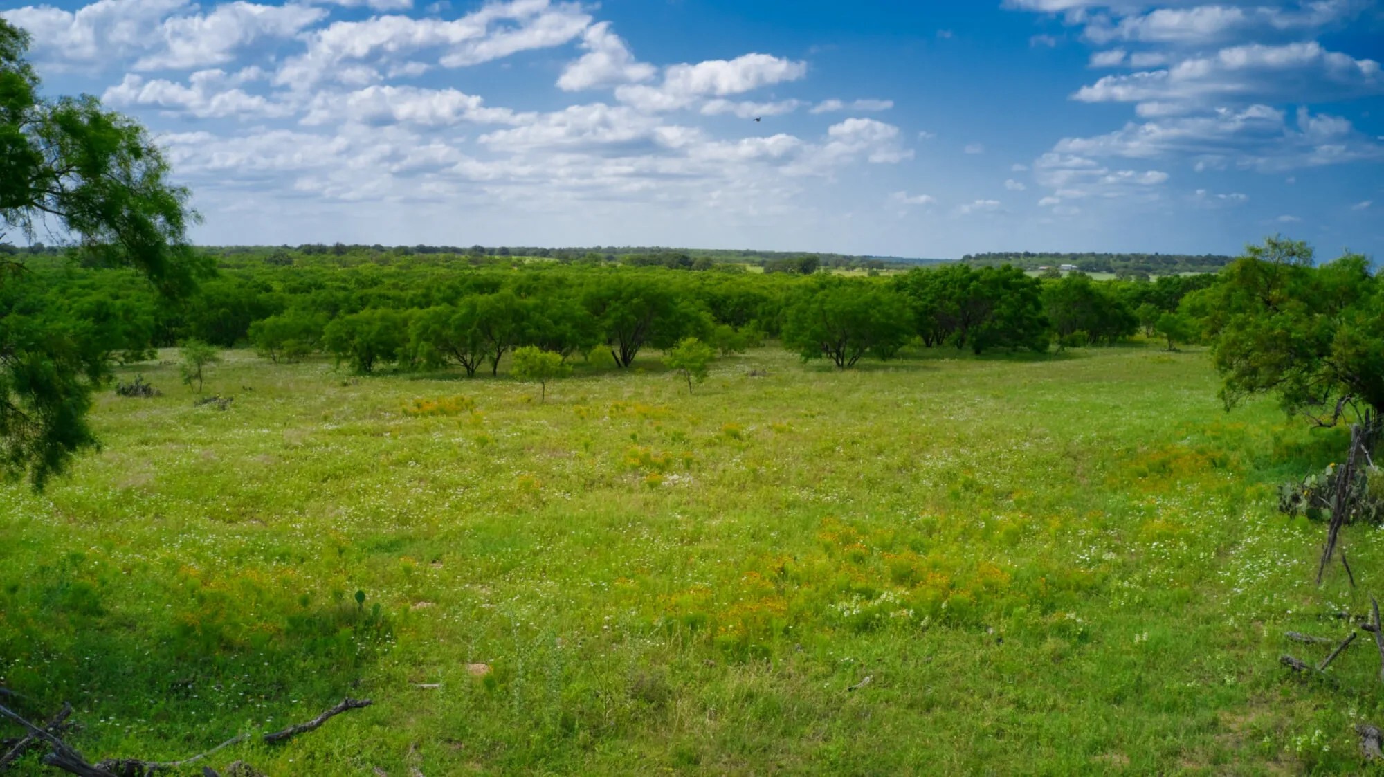 THE RANCH at Sandy Lane