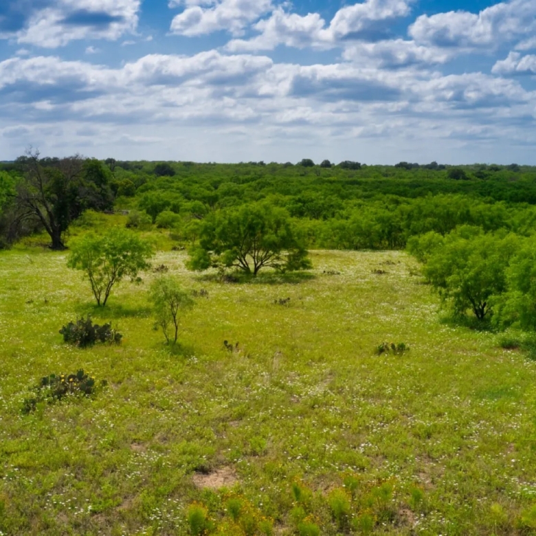 THE RANCH at Sandy Lane