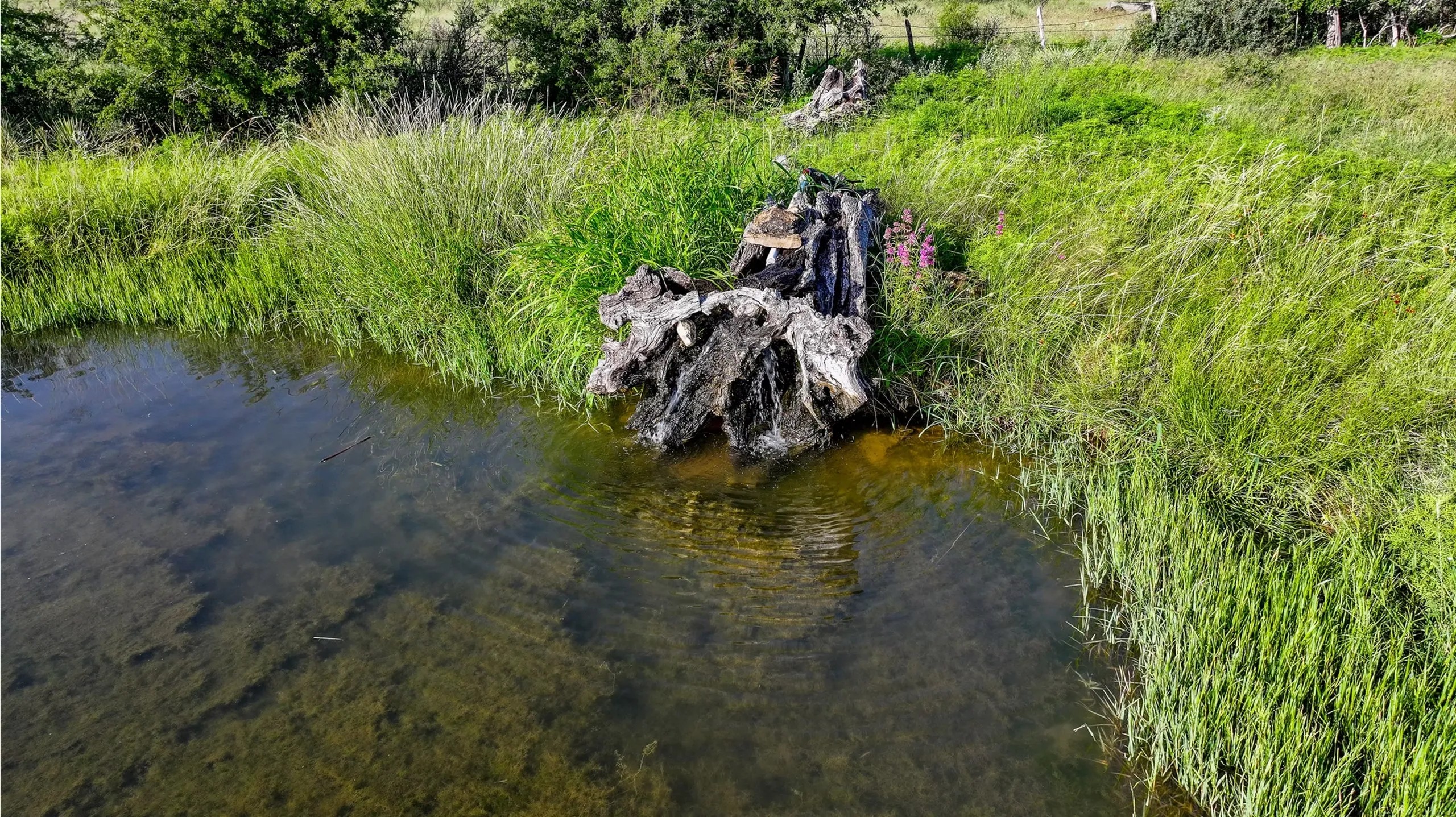 CORONA FALLS RANCH